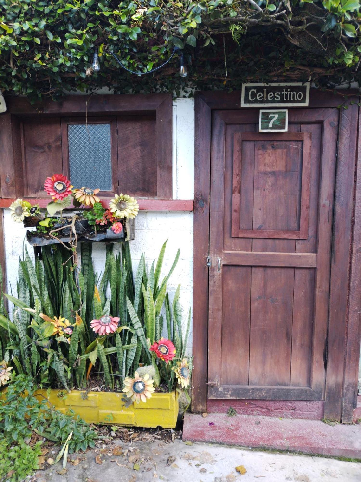 Hotel Casa Chapultepec Coban Bagian luar foto